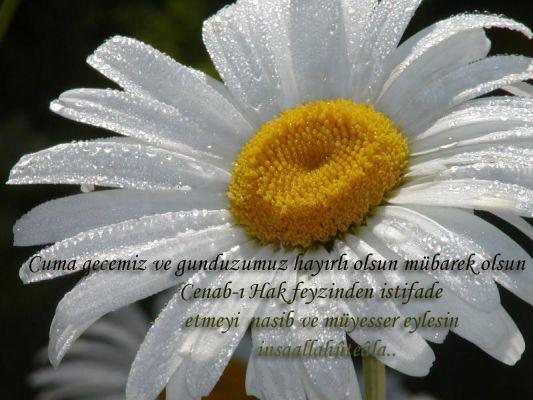 hayirli_cumalar_resimli (16)-31b.jpg